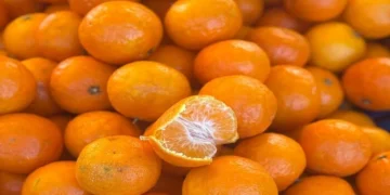 У Києві на вихідних 22-23 листопада відбудуться продуктові ярмарки (адреси)