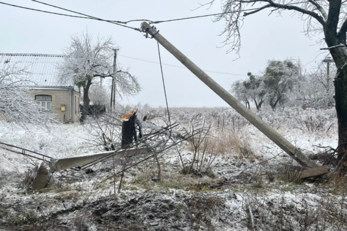 Аварія біля Луцька: Ford зніс паркан та електроопору. ФОТО