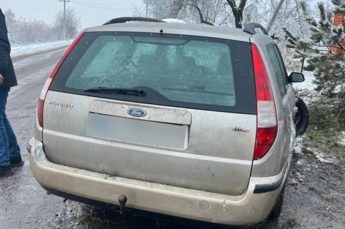 Аварія біля Луцька: Ford зніс паркан та електроопору. ФОТО