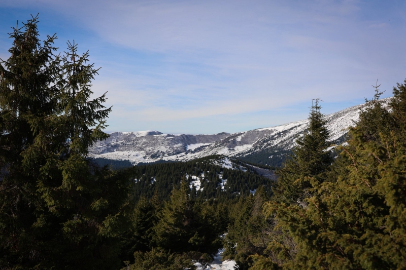 50 українських ветеранів підкорили Говерлу, серед них захисники з ампутаціями (фото)