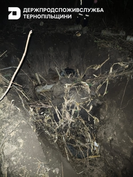 "Трупи спалено і захоронено": на Тернопільщині виявлено спалах жахливої хвороби (ФОТО)