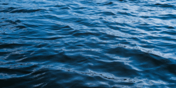 На Хмельниччині зафіксовано підвищене забруднення річок: найгірша ситуація – у Південному Бузі