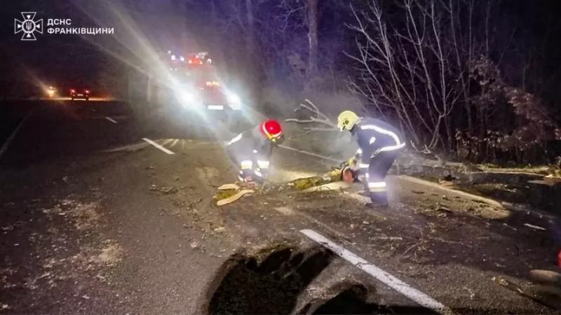 Повалені дерева, блискавки й зливи: ураган наробив біди на Прикарпатті (ФОТО)