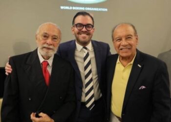 Президент WBO висловився щодо відмови Усика від титулу