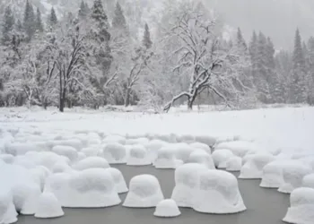 “Сінгопад і мороз із похолоданням ввірвуться в цей регіон”: синоптики кажуть про холодну температуру та ожеледицю