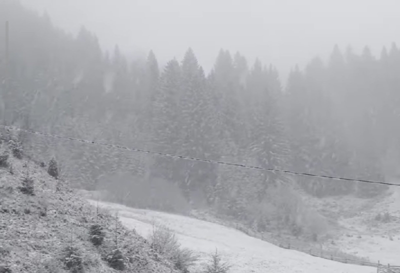 Зима увірвалася раптово: на Прикарпатті насипало снігу "по коліна" і мете далі (ФОТО, ВІДЕО)