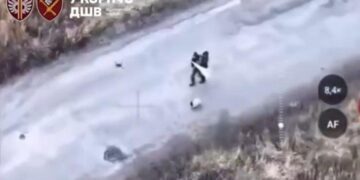 Росіяни убили двох людей і собаку, які йшли з білим прапором у селі на Харківщині