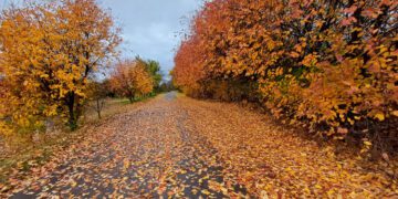 ЯКУ ПОГОДУ ОЧІКУЮТЬ В УКРАЇНІ З 10 ПО 16 ЛИСТОПАДА