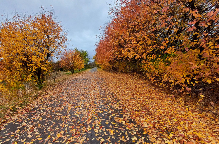ЯКУ ПОГОДУ ОЧІКУЮТЬ В УКРАЇНІ З 10 ПО 16 ЛИСТОПАДА