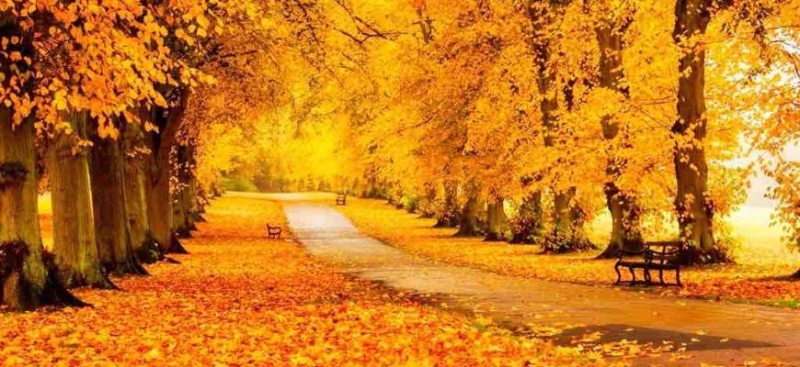 Коли за вікном осінь: як зберегти тепло всередині