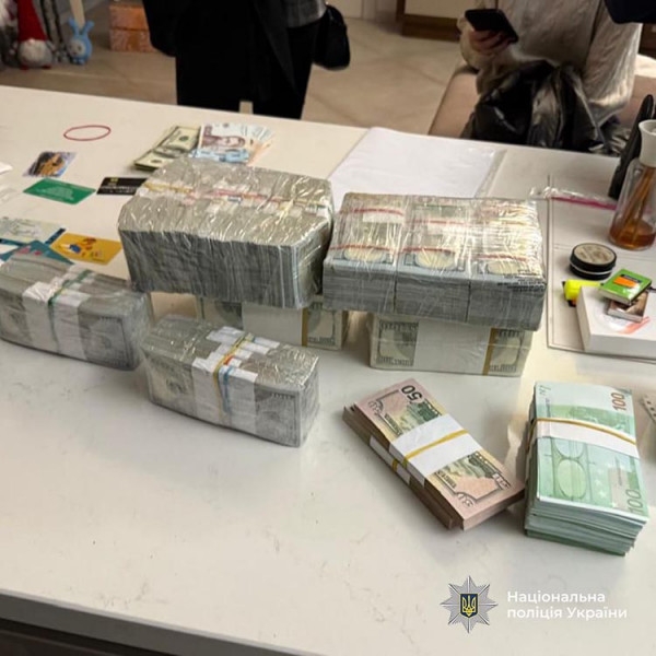 Мільйон доларів та елітна нерухомість: у Дніпрі затримали начальницю відділу екологічної інспекції