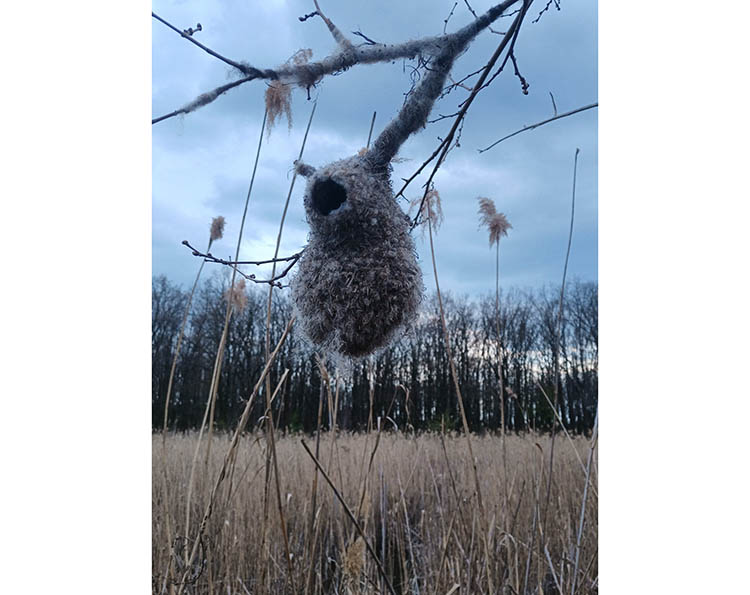 На Дніпропетровщині побачили дивний пташиний будинок
