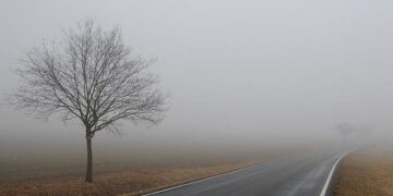 На дорогах Миколаєва та області — густий туман: водіїв закликають бути обережними