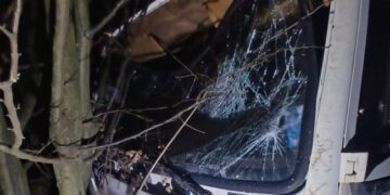 На Дубенщині вантажівка вилетіла з траси, бо водію стало зле (ФОТО)