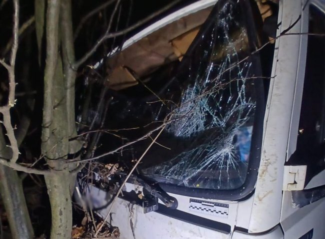 На Дубенщині вантажівка вилетіла з траси, бо водію стало зле (ФОТО)