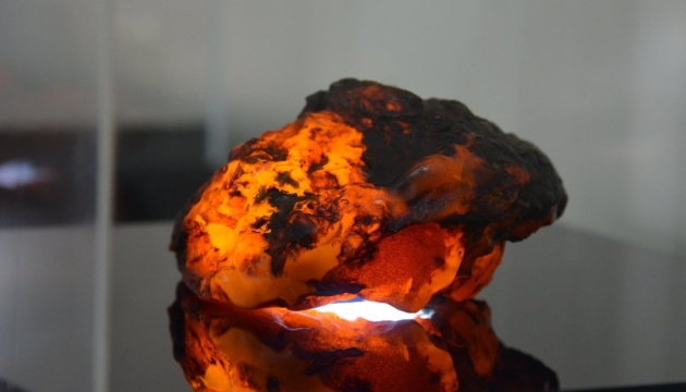 На Рівненщині чоловік намагався сховати «бурштиновий» камінь-гігант