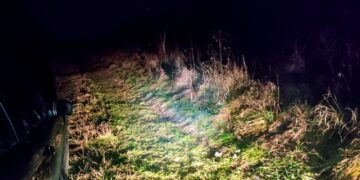 На Рівненщині водій таксі порізав ножем клієнта і його собаку