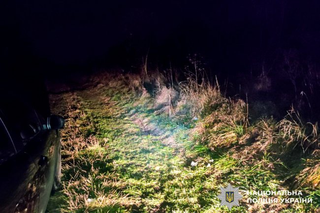 На Рівненщині водій таксі порізав ножем клієнта і його собаку