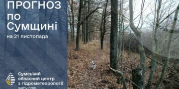 На Сумщині прогнозують потепління