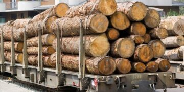 Після поїздки на Рівненщину прем’єрка заборонить вивіз української деревини за кордон