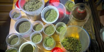 Поліція Конотопа вилучила з незаконного обігу наркотики