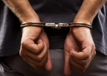 Суд взяв під варту лучанина, підозрюваного у вбивстві 74-річної матері