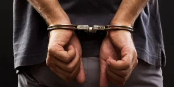 Суд взяв під варту лучанина, підозрюваного у вбивстві 74-річної матері