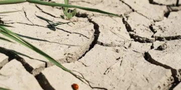 Світ не зміг досягти своєї головної мети щодо зміни клімату, – Reuters