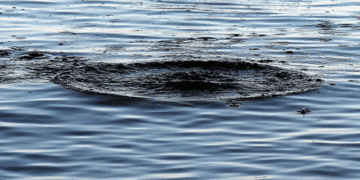 Трагедія на Південному Бузі: на Миколаївщині знайшли тіло хлопця