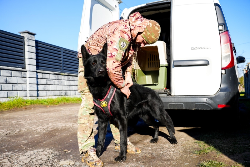 Житель Березнівщини на замовлення Росії спалив волонтерський позашляховик