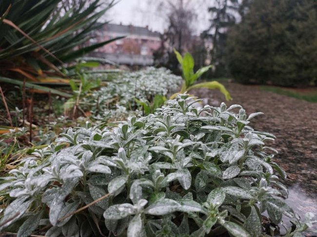 Зима прийде в кінці листопада