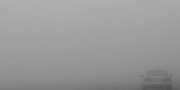Синоптики попереджають про туман у Запорізькій області