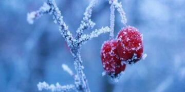 “Мороз на Різдво, снігопад на свято”: в які області України суне реальна негода наступного тижня