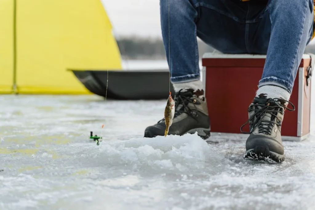 Удочки для зимней рыбалки