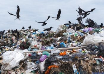 Вчені оцінили обсяг сміття, що викидається на Землі щороку