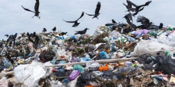 Вчені оцінили обсяг сміття, що викидається на Землі щороку