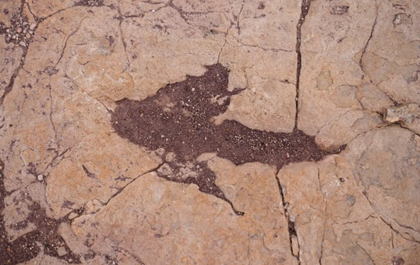 У Болівії знайшли понад 16 тисяч відбитків динозаврів