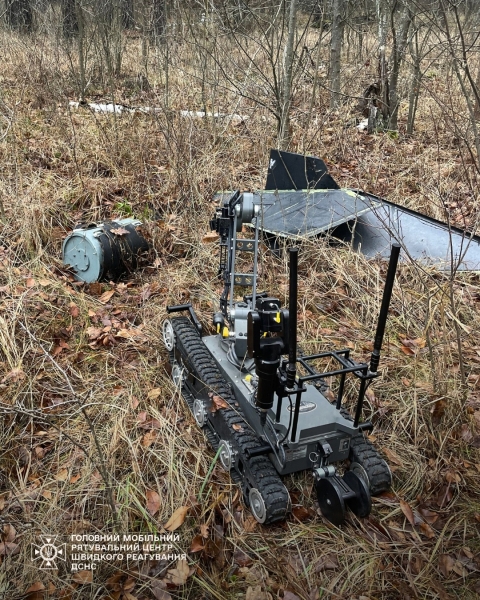 На Київщині лісник знайшов бойову частину російського дрона (фото)