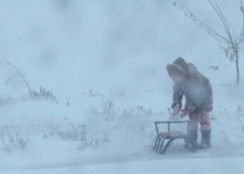 Снігопад сягне піку у понеділок, дике похолодання ввірветься у регіон: дощ, сильний вітер і зимовий мороз почнуть вирувати