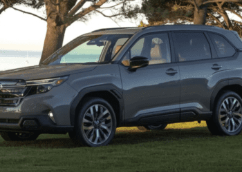 Гібриди та електрокари: японці визначили найкращі авто року (ФОТО)