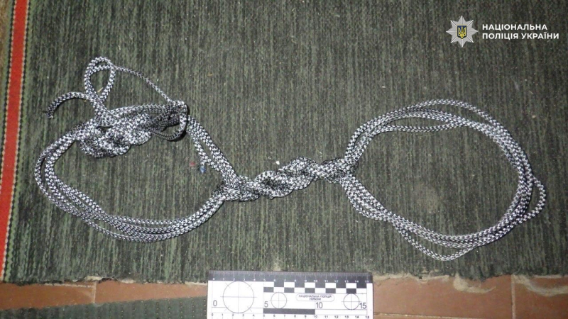 Поліція затримала киянина, який намагався вбити матір та задушив бабусю: деталі справи