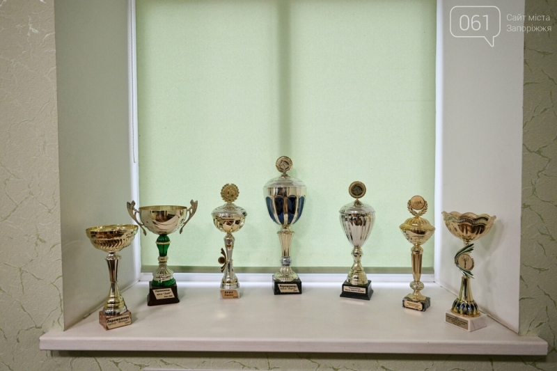 У Запорізькій області з кінного заводу, який знаходиться за кілька десятків кілометрів від фронту, частково евакуюють скакунів, - ФОТОРЕПОРТАЖ