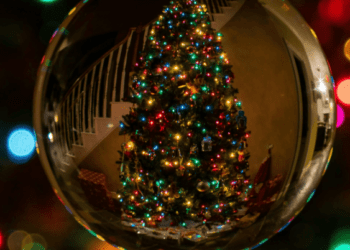 “Поставили не там – чекайте біди: де насправді має стояти різдвяна ялинка вдома