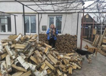 Тепло починається з тих, хто не проходить повз – допоможіть тисячам хвостиків пережити зиму