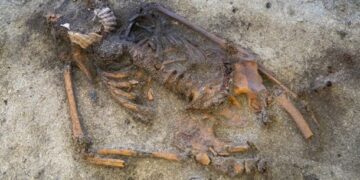 У Швеції знайшли поховання жінки-вікінга з мушлею в роті