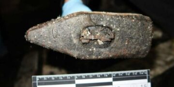 Чоловік на Прикарпатті пішов на страшний вчинок, щоб приховати свій злочин: що він накоїв (ФОТО)