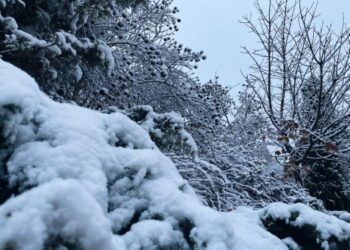 У Запоріжжі очікується похолодання і сніг