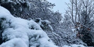 У Запоріжжі очікується похолодання і сніг