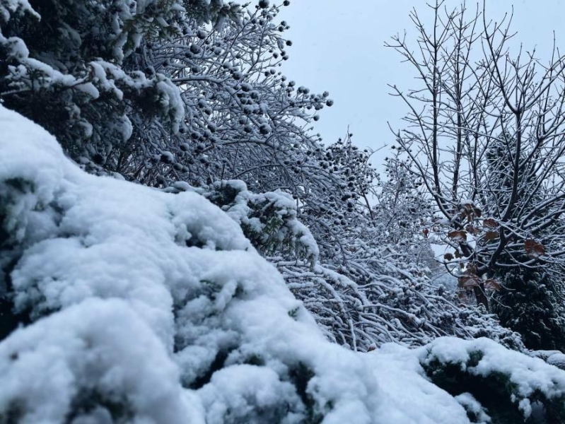 У Запоріжжі очікується похолодання і сніг