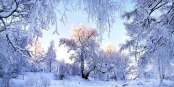 “Похолодання ввірветься в регіон, мороз накриє на 10 діб”: синоптики сказали, де вдарить снігопад, дощ і стихійні явища